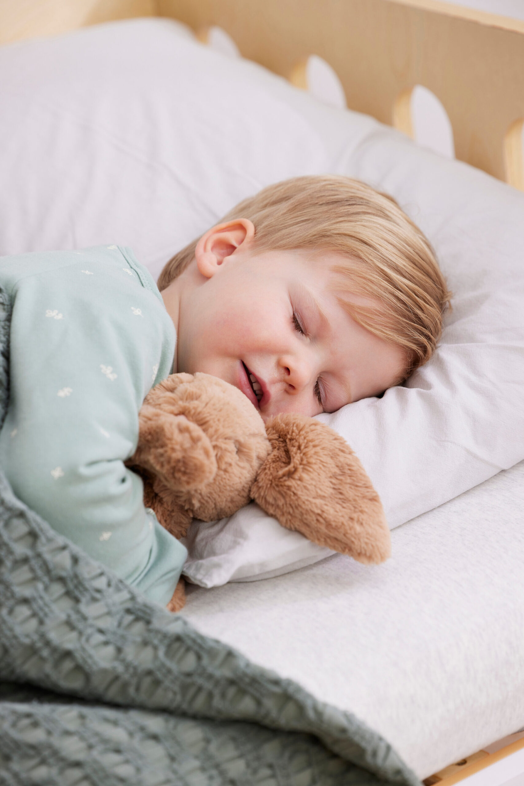 2-5 Years Toddler Sleep Program
