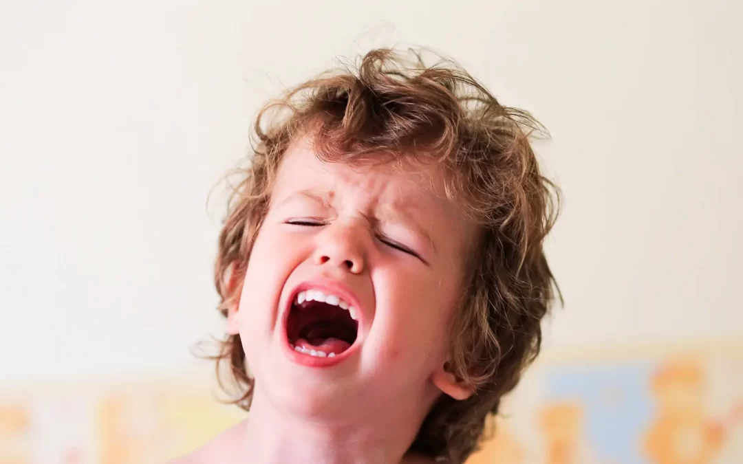 Toddler Autonomy